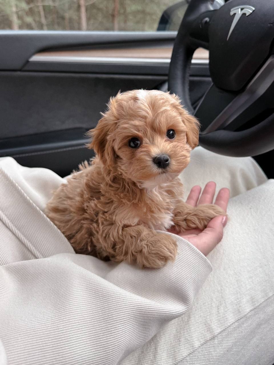 Max