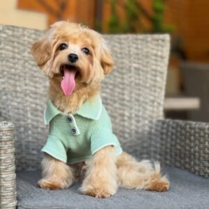 Antonio