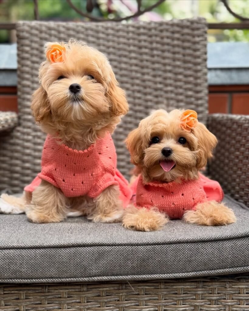 Mary & Nina